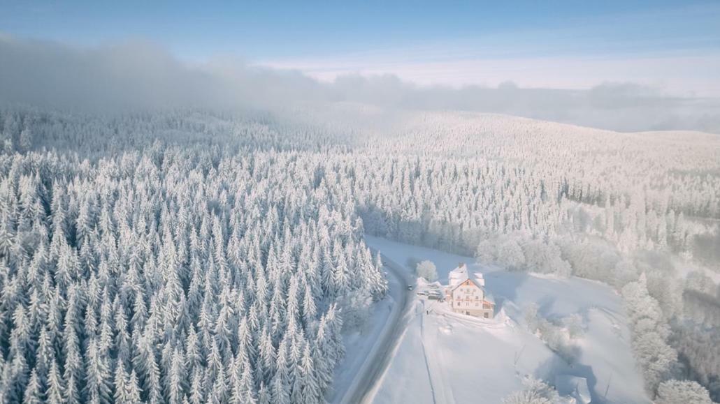 Przystanek Alaska Zieleniec  Esterno foto